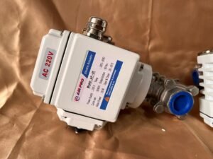 electric actuator