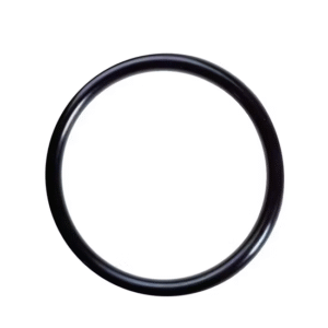 seal dan O ring